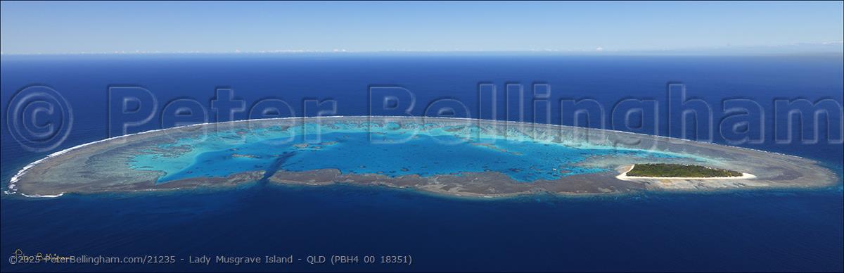 Peter Bellingham Photography Lady Musgrave Island - QLD (PBH4 00 18351)